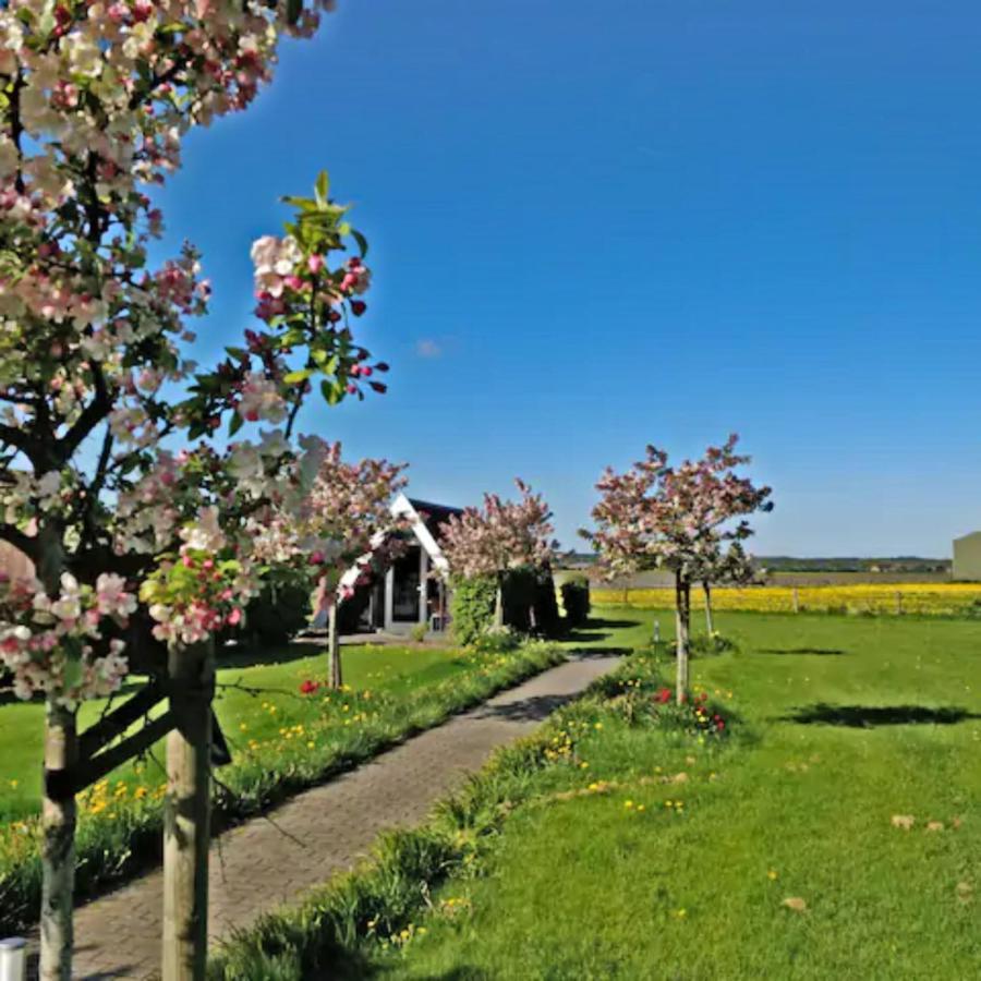 Hotelhuisje Warmenhuizen #C Exteriör bild